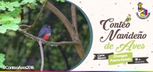 Con el ‘Festival Birdfest’ se inicia el conteo de Aves en Guayaquil